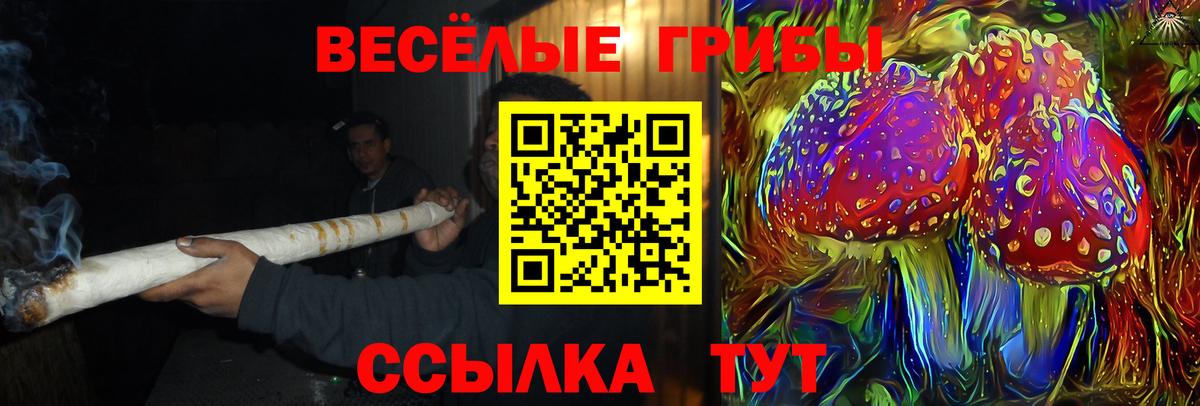 Новочебоксарск  где купить наркоту  Вход с VPN  Галлюциногенные грибы Psilocybe  Галлюциногенные грибы прущие грибы 